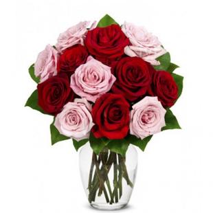 One Dozen Red n Pink Roses
